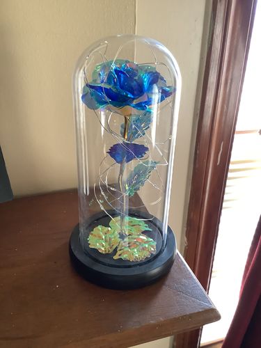 Cozyora® Eternal Rose Glow Lamp